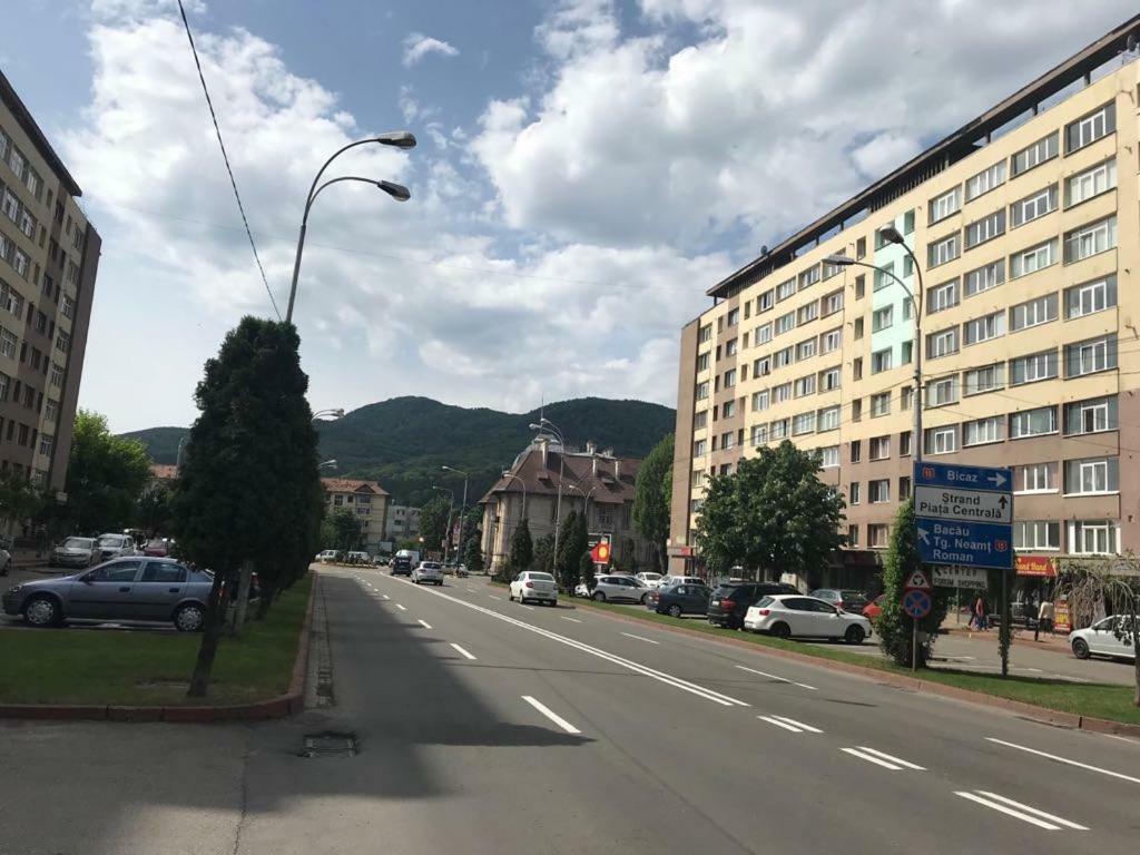 Sarah Apartment Piatra Neamt